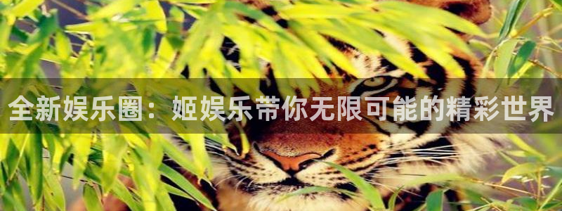 长征娱乐主管