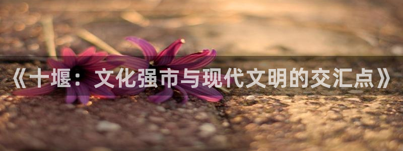 长征娱乐登录